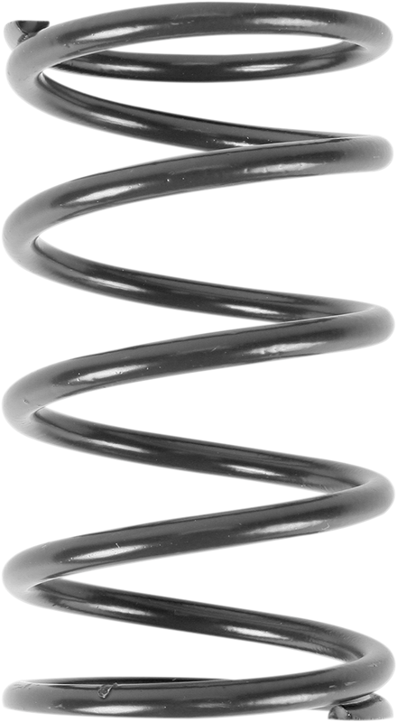 Epi Primary Spring - Polaris PATV11