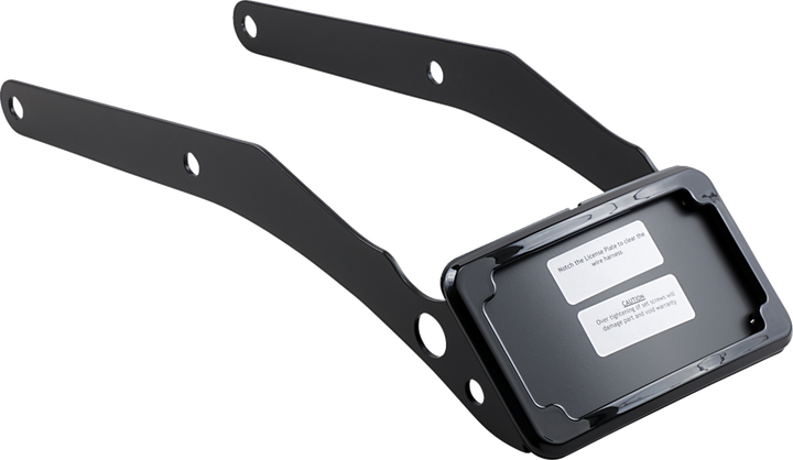 Cycle Visions Lp Plate Frame & Mount With Tag Light - Flsl/Fxbb - Black CV4663B
