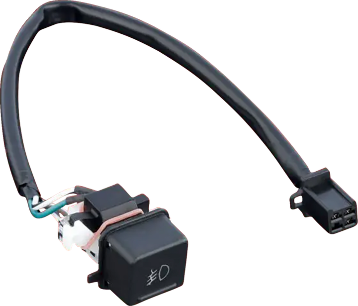 Show Chrome Replacement Fog Light Switch - Gl1800 '12-'17 16-36