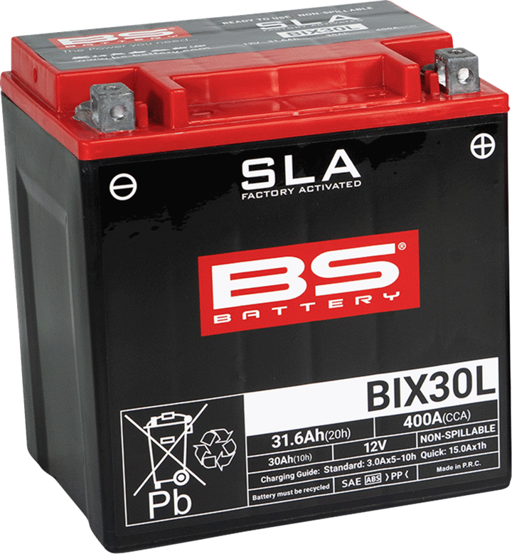 Bs Battery Battery - Bix30L (Yix) 300631
