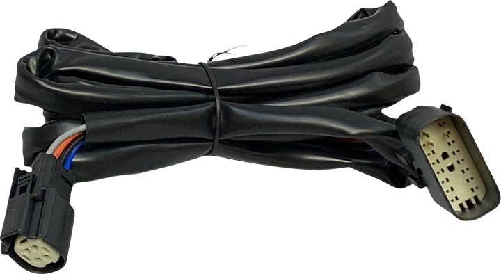 Custom Dynamics Harness - Rear Speakers - Tour-Pak CD-HARN-TP-2