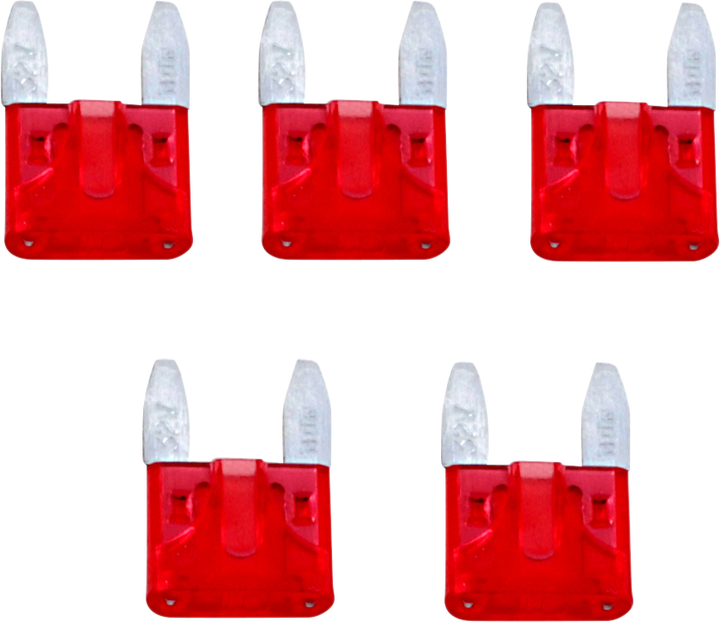 Namz Fuses - Mini - 10 Amp - 5 Pack NF-MIN-10