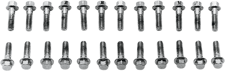 Colony Screw Kit - Valve Cover/Hex - With Steel D Rings - Chrome 8734-24