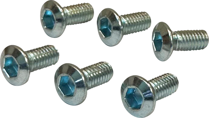 Moose Offroad Rotor Bolts - Front/Rear 039-6A01