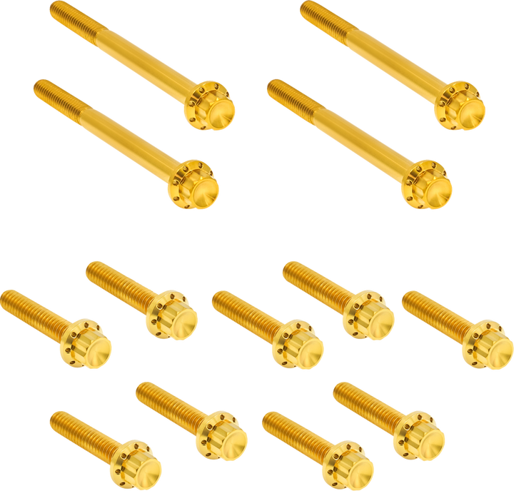 Arlen Ness Bolt Kit - Primary Cover - Titanium - 12-Point - Flt - Gold 300-928