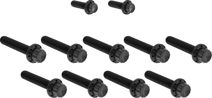 Arlen Ness Bolt Kit - Cam Cover/Point Cover - Titanium - 12-Point - Black 300-933