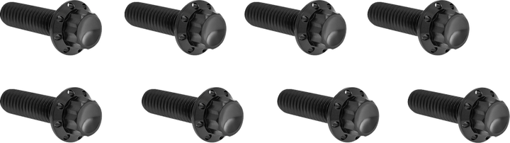 Arlen Ness Bolt Kit - Lifter Block - 12-Point - Titanium - Black 300-936