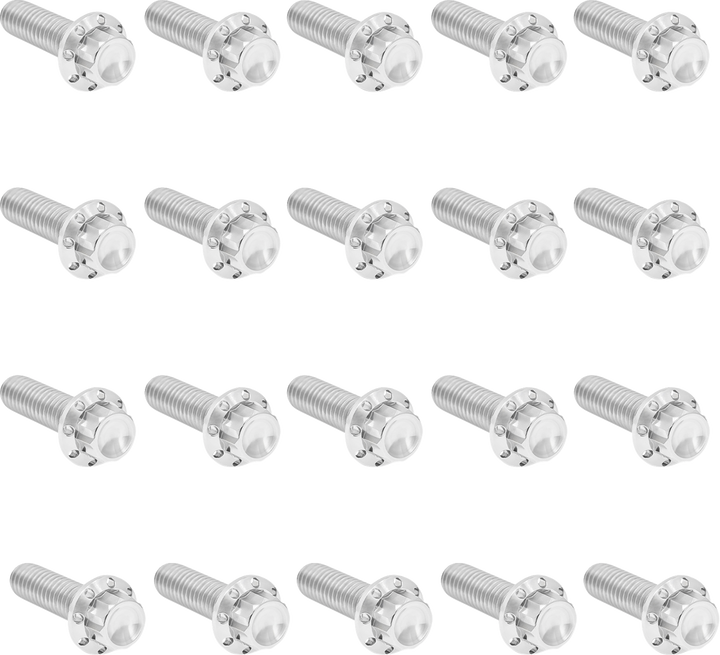 Arlen Ness Bolt Kit - Rocker Box - 12-Point - Titanium - Polished 300-944