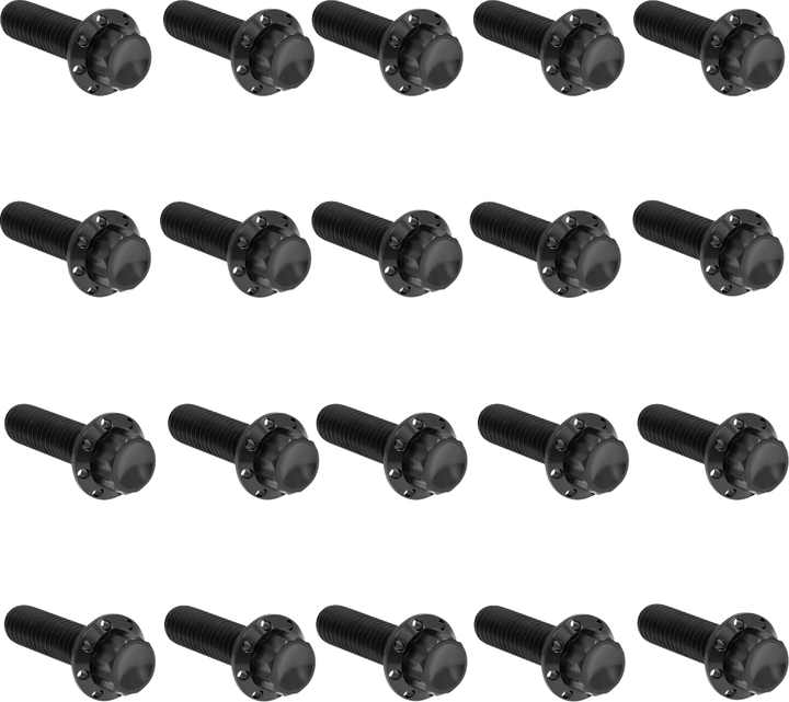 Arlen Ness Bolt Kit - Rocker Box - 12-Point - Titanium - Black 300-945