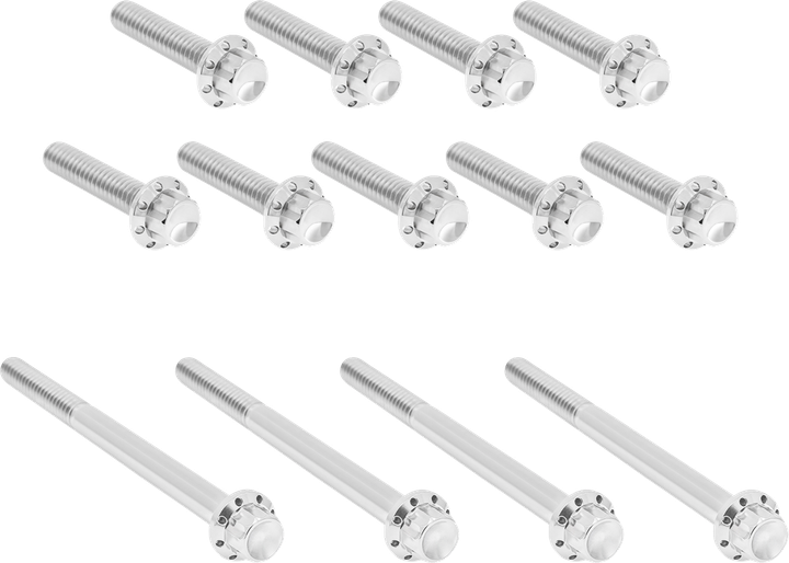 Arlen Ness Bolt Kit - Primary Cover - Titanium - 12-Point - Twin Cam - Polished 300-989