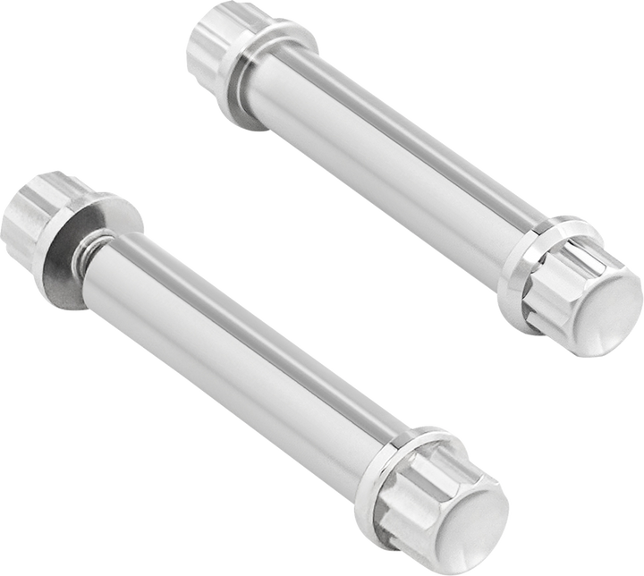 Arlen Ness Bolt Kit - Footpeg - 12-Point - Titanium - Polish 300-803