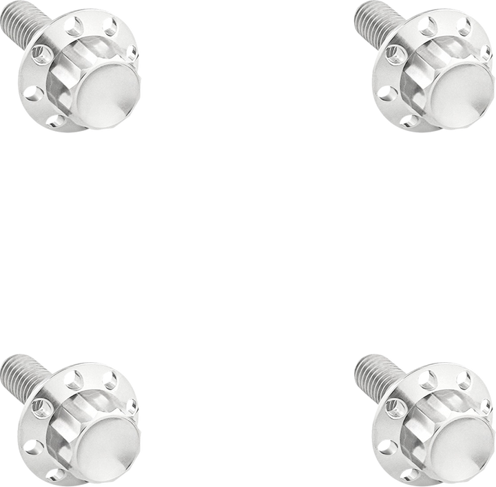 Arlen Ness Bolt Kit - Windshield - Titanium - 12-Point - Polished 300-839
