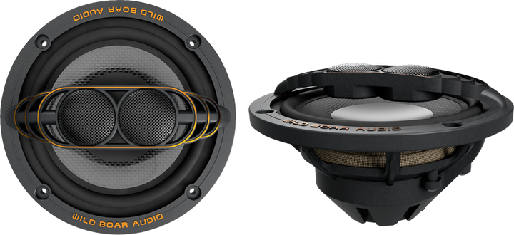 Wild Boar Audio 250 W Speaker - 2 Ohm - Fl WBA 652-24