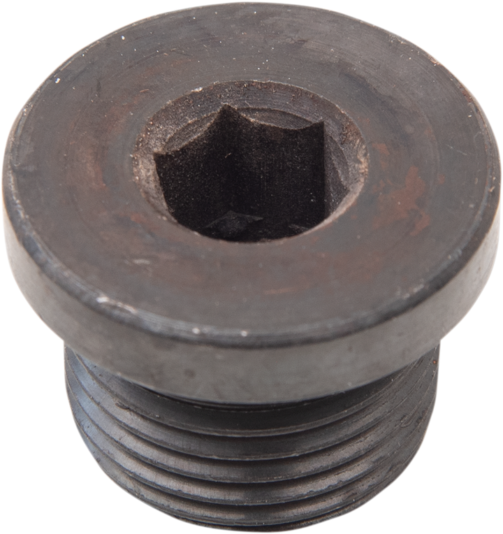 Daytona Twin Tec Llc O2 Sensor Plug - 18 Mm X 1.5 Mm - Steel 115002