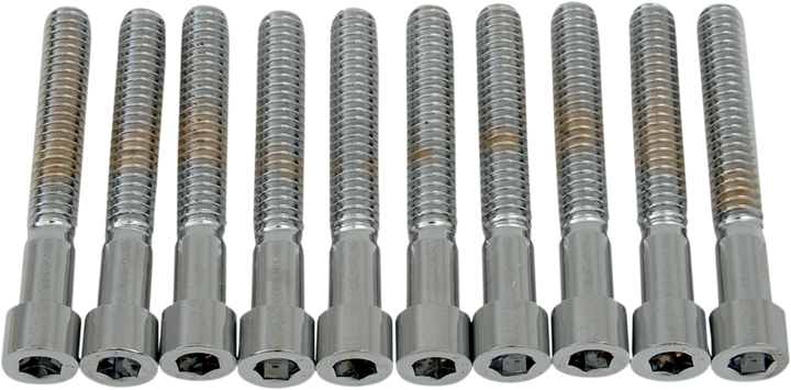 Drag Specialties Bolts - Socket-Head - Smooth - 1/4-20 X 1-3/4" DS-190540S