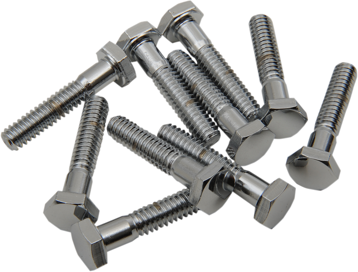 Drag Specialties Bolts - Hex-Head - Chrome - 1/4"-20 X 1-1/4" DS-190605