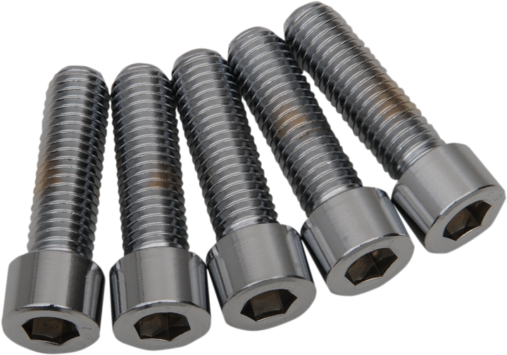 Drag Specialties Bolts - Socket-Head/Replacement - Smooth/Coarse Thread - 1/2"-13 X 2" - 5 Pack DS192314