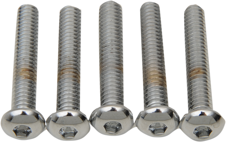 Drag Specialties Bolts - Button Head/Replacement - 1/4"-20 X 1-1/4" - 5 Pack DS192320