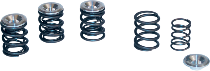 S&S Cycle Valve Spring Kit - 0.550" Lift - Panhead | Shovelhead Engines '48-'84 90-2053
