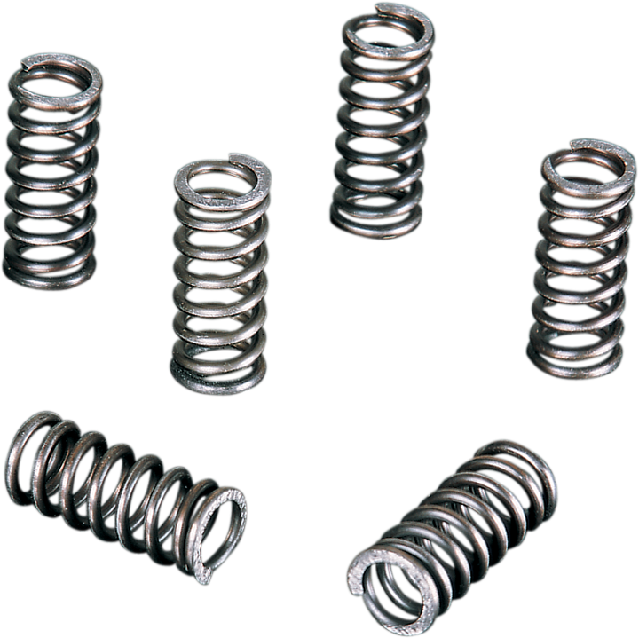 Vesrah Clutch Spring Set SK-329