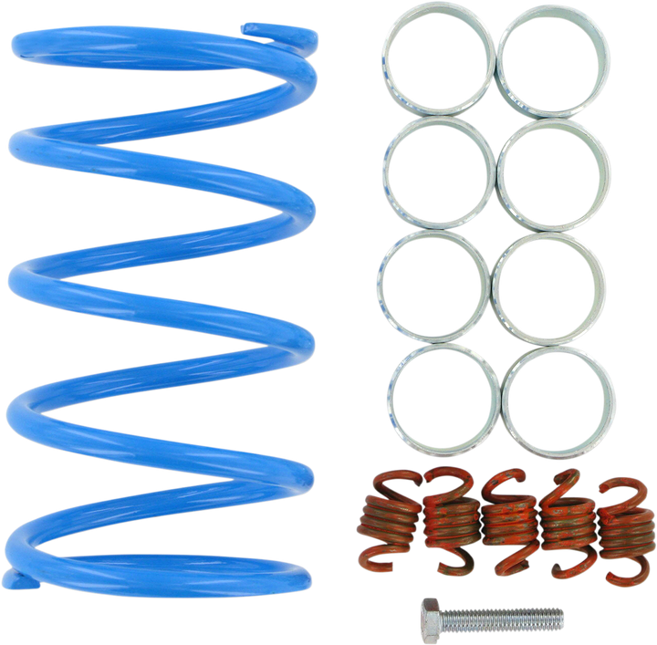 Epi Clutch Kit WE391020