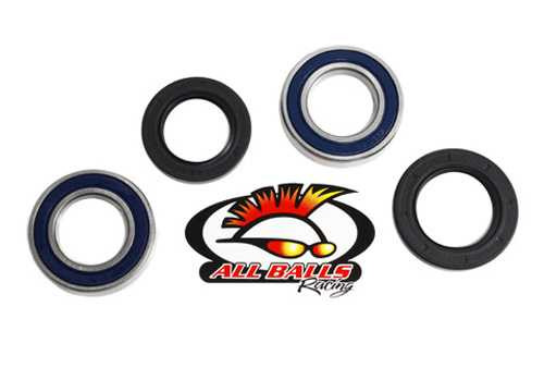 All Balls Rear Wheel Bearing Kit - Both Wheels 25-1114