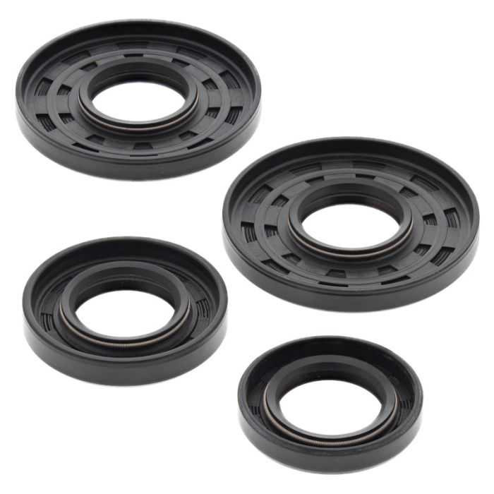 Vertex Engine Oil Seal Kit 622115