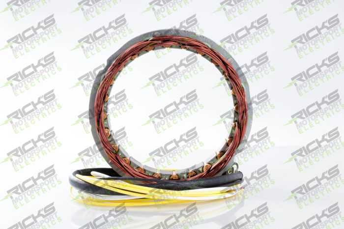 Rick'S Motorsport Electric Oe Style Stator 21-100