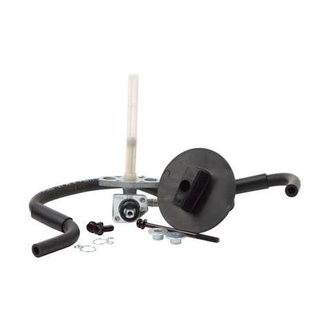 All Balls Fuel Star Valve Kit FS101-0012