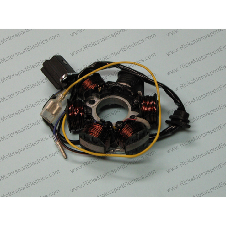 Rick'S Motorsport Electric Honda Stator 21-600H