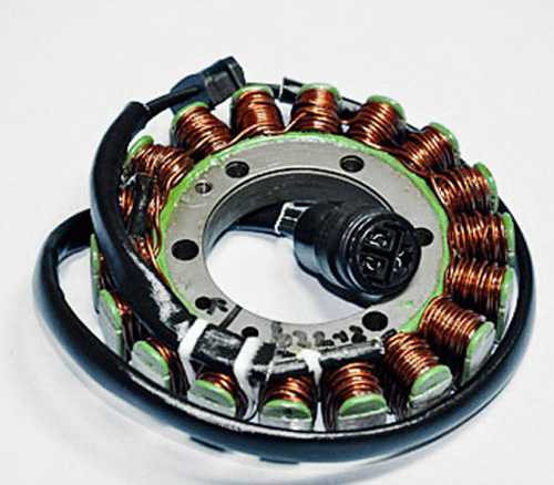 Rick'S Motorsport Electric Oe Style Stator 21-224