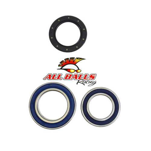 All Balls Rear Wheel Bearing Kit - Both Wheels 25-1011