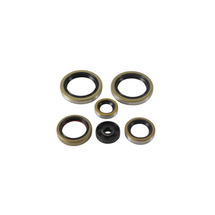 Vertex Engine Oil Seal Kit 822370