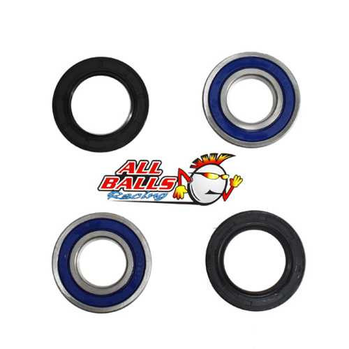 All Balls Rear Wheel Bearing Kit - Both Wheels 25-1158
