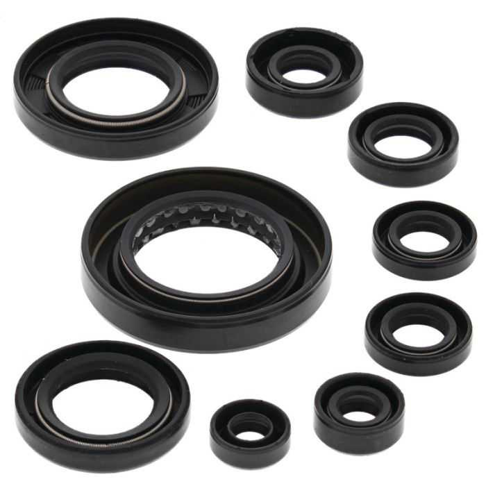 Vertex Engine Oil Seal Kit 822351