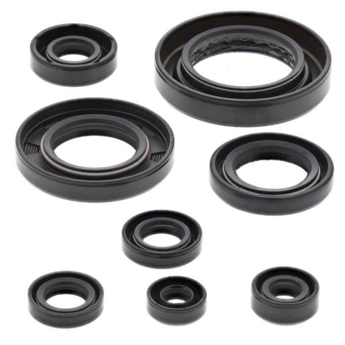 Vertex Engine Oil Seal Kit 822354