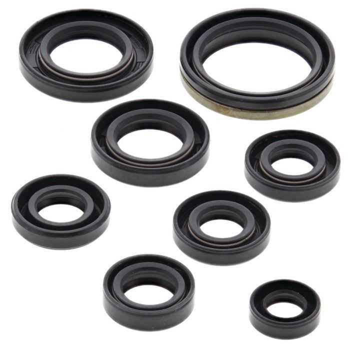 Vertex Engine Oil Seal Kit 822305