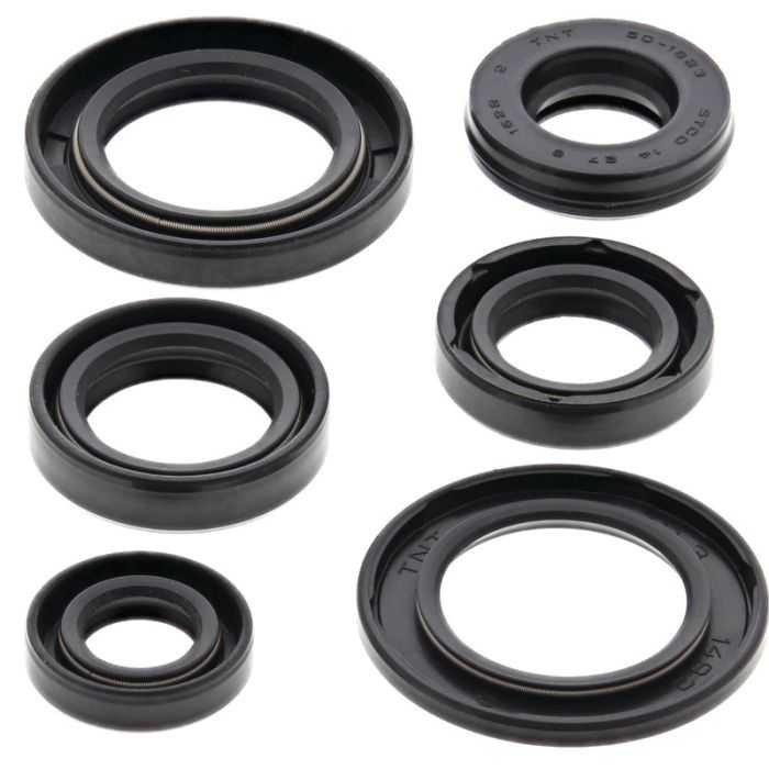 Vertex Engine Oil Seal Kit 822337