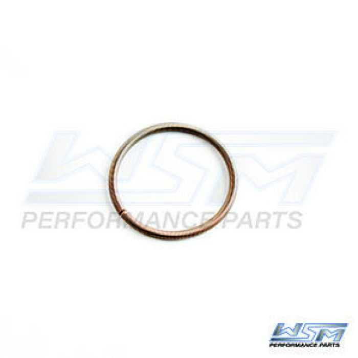 Wsm Sd Power Valve Boot Spring Small 010-495-07