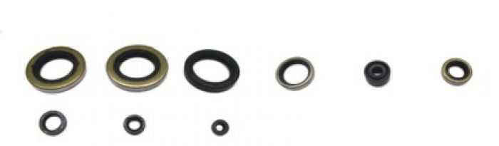 Psychic Engine Oil Seal Kit AT-09616