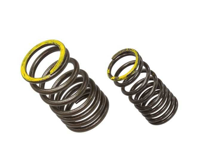 Psychic Exhaust Valve Spring XU-09563ES