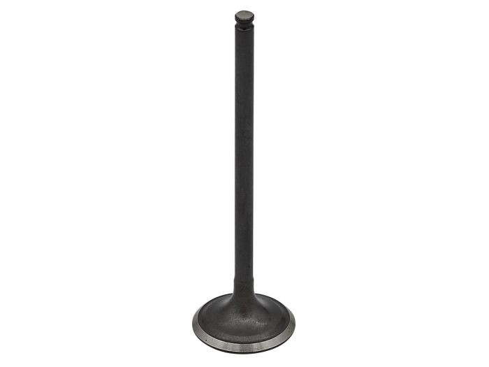 Psychic Exhaust Valve XU-09508E-1