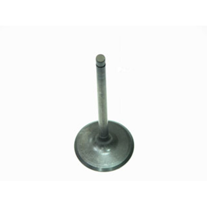 Bronco Atv Intake Valve AU-09151I