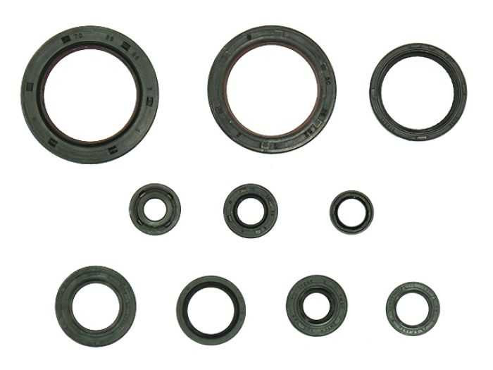 Namura Engine Oil Seal Set 10Pcs NX-09221