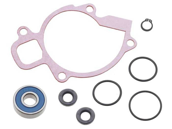 Psychic Water Pump Repair Kit MX-10204