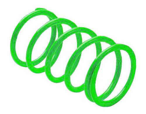 Epi Erlandson Clutch Spring Britegreen DRS19