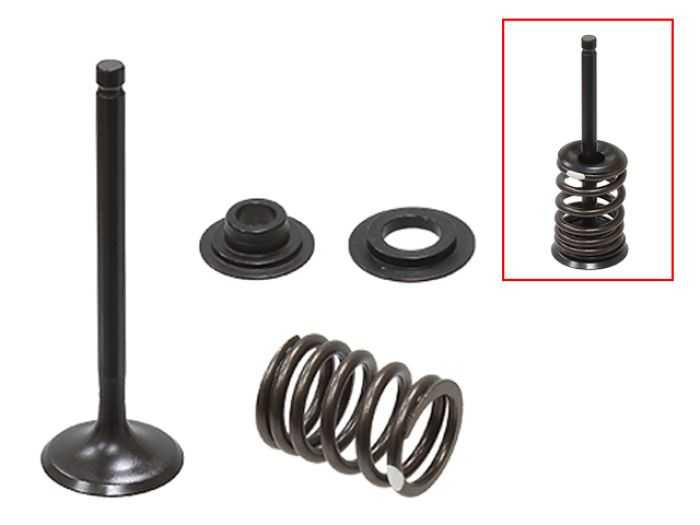 Psychic Intake Valve Kit XU-09558-1IK