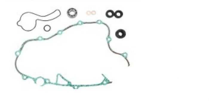 Psychic Water Pump Repair Kit MX-10267