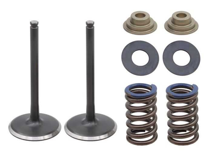 Psychic Exhaust Valve Kit XU-09562IK