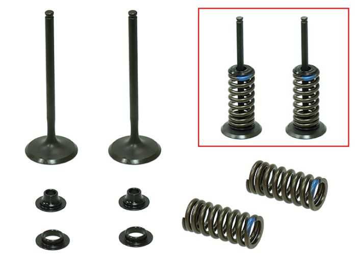 Psychic Intake Valve Kit XU-09523-1IK